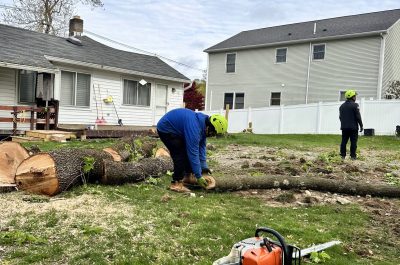 WhatsApp Image 2026-02-23 at 20.21.48